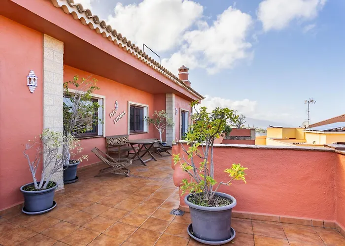 Live My Dream * 圣乌尔苏拉